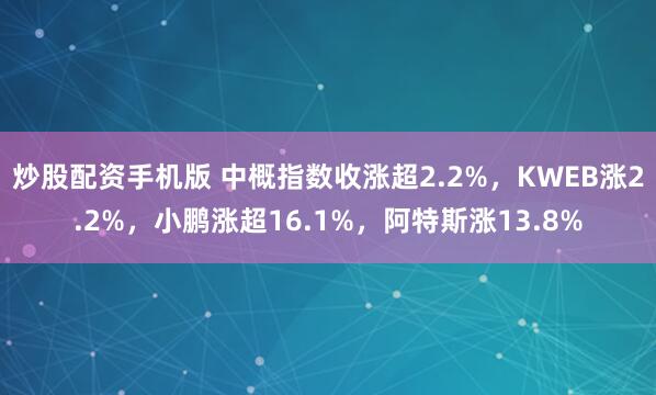 炒股配资手机版 中概指数收涨超2.2%，KWEB涨2.2%，小鹏涨超16.1%，阿特斯涨13.8%