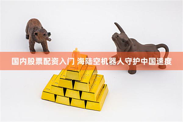 国内股票配资入门 海陆空机器人守护中国速度